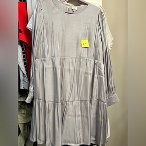 A New Day Silver Dress